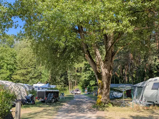 Kampeerplaats voor tent en caravan op Camping des Neiges in de Savoie